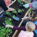 Young Children in the Garden event at Chapman Community Garden. Photo courtesty of CARD