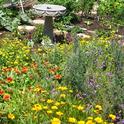 Flowering Patch by Urban Bee Garden