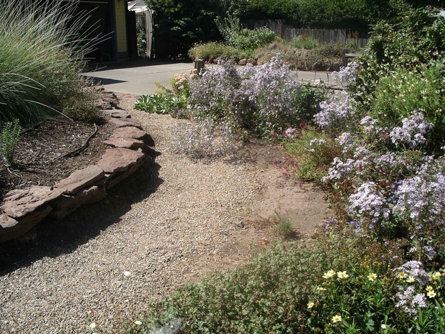 Berm with dry stacked flagstones by Cindy Weiner