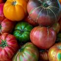 Heirloom tomatoes by Kim Schwind