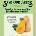 Save Our Seeds Summer 2020 Seed Packet Butternut Squash