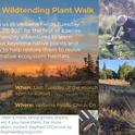 TEK Wildtending at Verbena Fields (campfirerestorationproject.org)