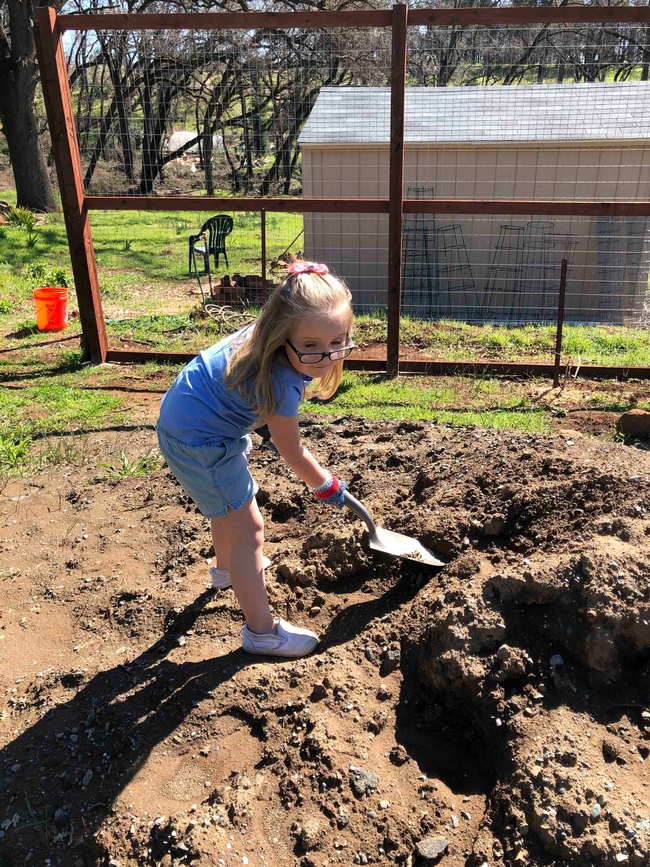 Digging a planting hole, Debi Durham