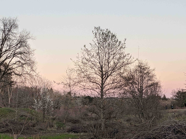 Sunset on February 23 at Verbena Fields, Janeva Sorenson
