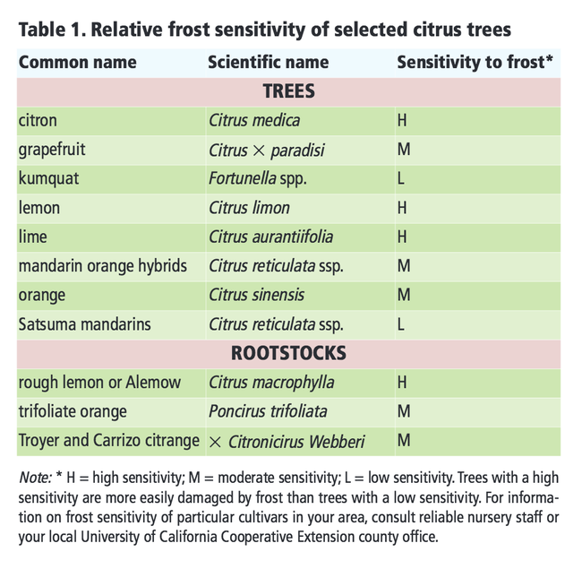 Frost sensitivity of selected citrus, UC ANR Publication 8100