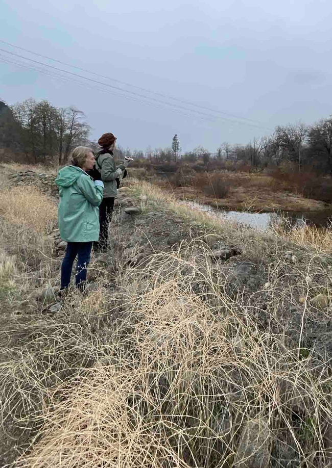 Chico's Altacal Christmas 2020 bird count with Jan and Jennifer, by Carla Resnick