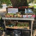 An example of a neighborhood food exchange table, Butte County Local Food Network