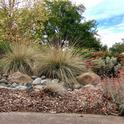 Boulders and deergrass stabilize the slope slope and provide pleasing visual variety.