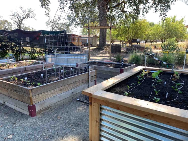 A variety of raised bed styles can be seen at the Master Gardener Demonstration Garden. Laura Kling