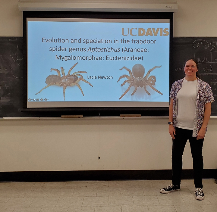 Lacie Newton's Research on Folding-Door Spiders and 'Where Do You