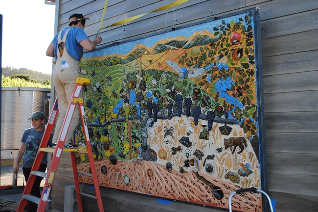 Installation coordinator Amanda Larson positions the mural. (Photo by Gale Okumura)