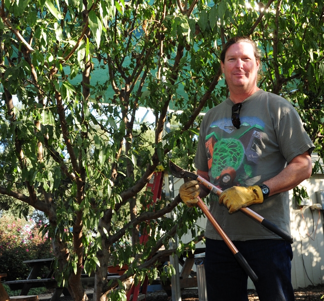 Andy Ross: ready to prune. (Photos by Kathy Keatley Garvey)