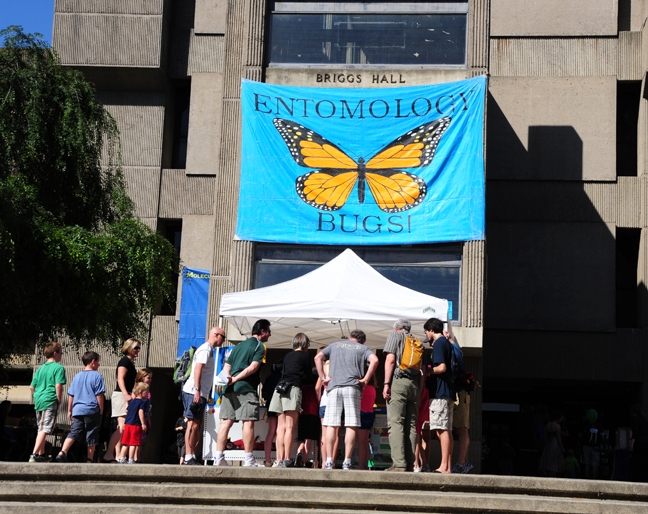 Brigg Hall will be one of the entomology sites for UC Davis Picnic Day. The other: the Bohart Museum of Entomology. (Photos by Kathy Keatley Garvey)