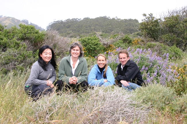 This is the Sausalito team that submitted the winning design. From left are Chika Kurotaki, Ann Baker, Jessica Brainard and Donald Sibbett. (Photo courtesy of Sausalito Bee Team)