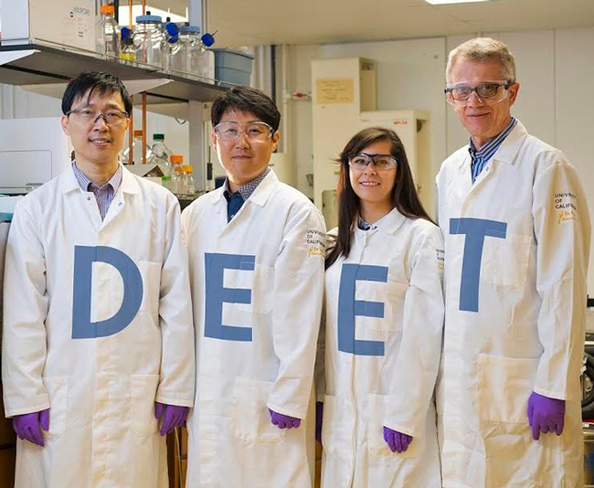 UC Davis scientists in the Walter Leal lab have discovered the odorant receptor in the Culex mosquito that repels DEET. From left are Project Scientist Pingxi Xu; postdoctoral scholar Young-Moo Choo;  AgChem graduate student Alyssa De La Rosa; and Professor Walter Leal. (Photo by Academic Technology Services/Mediaworks)