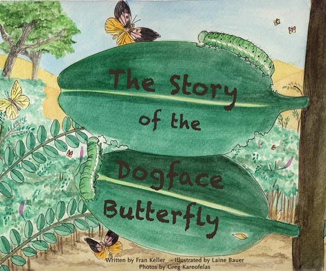 Fran Keller is the author of this book on the Caifornia state insect, the California dogface butterfly
