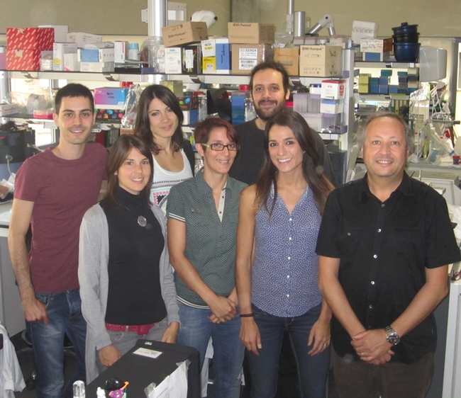 Researchers at the Joan Clària laboratory, University of Barcelona, Spain. In front (from left) are Veronica García-Alonso, Esther Titos, Bibiana Rius and Joan Claria (corresponding author). In back (from left) are Jose Alcaraz-Quilez, Cristina Lopez-Vicario (first author), and Aritz Lopategi.