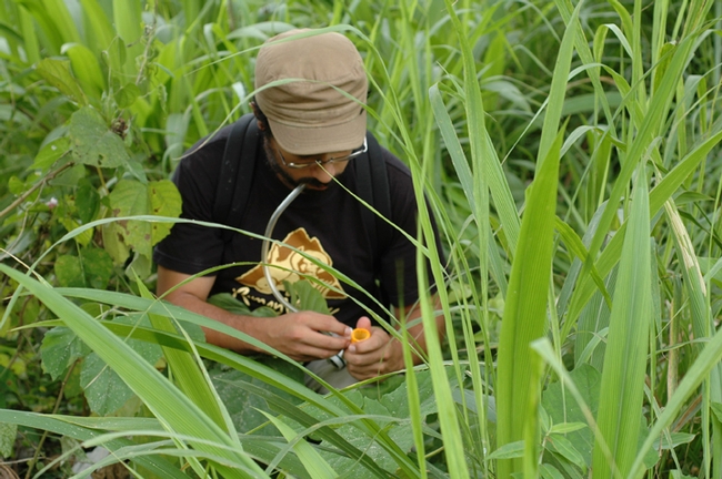 Daniel Mature in the field