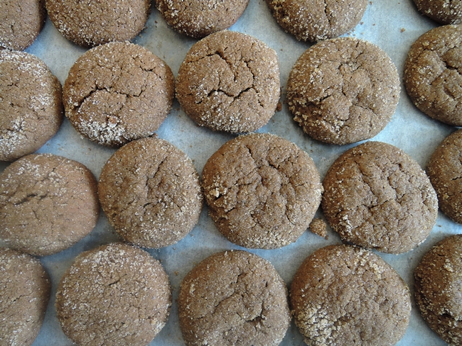 These cookies, made with cricket flour, were served at the first-ever bugs-and-beer event last fall at the Robert Mondavi Institute for Wine and Food Science. (Photo by Kathy Keatley Garvey)