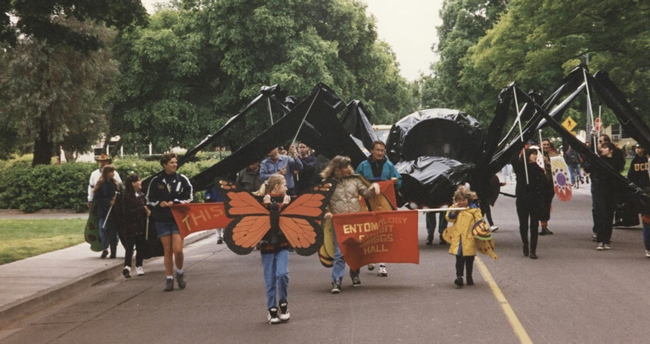 Approximately 20 years ago, the UC Davis Entomology Club entered this black widow spider-float  in the UC Davis Picnic Day Parade. (Historical file photo)
