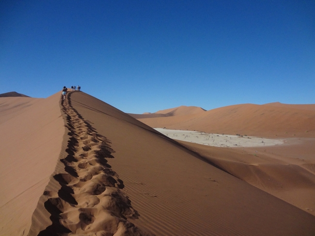 Ascending “Big Daddy” dune in Nabib Desert, Namibia, Africa (2015). (Photo by Patty Carey)