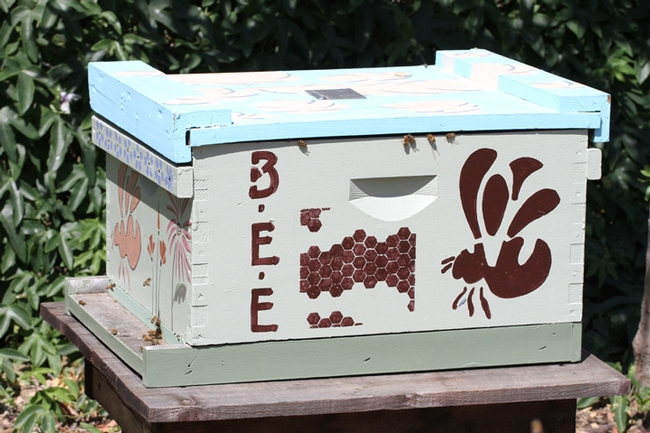 A functional bee hive is in the bee haven. (Photo by Kathy Keatley Garvey)