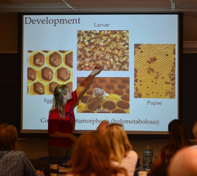 Tricia Bohls, graduate student in entomology based at the Harry H. Laidlaw Jr. Honey Bee Research Facility, describes honey bee development. (Photo by Kathy Keatley Garvey)