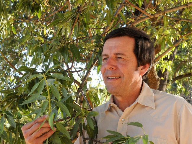 Integrated pest management specialist Frank Zalom, a past president of the Entomological Society of America, is a newly selected fellow of the Royal Entomological Society. (Photo by Kathy Keatley Garvey)