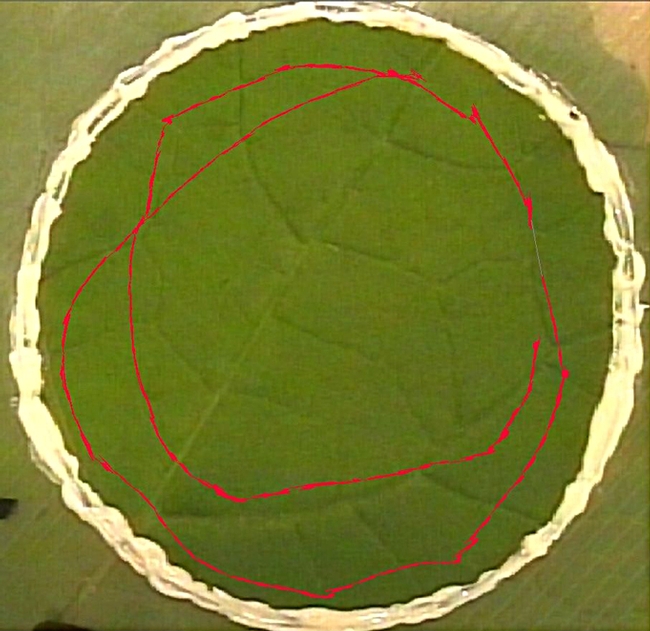 This image: Using Ethovision XT to monitor movement of larvae on individual cabbage leaves with either both sides having treated the same way or two sides with different treatments. (Photo by Christian Nansen)