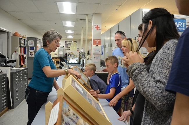 Lynn Kimsey, director of the Bohart Museum of Entomology, discusses mimicry with Picnic Day visitors.
