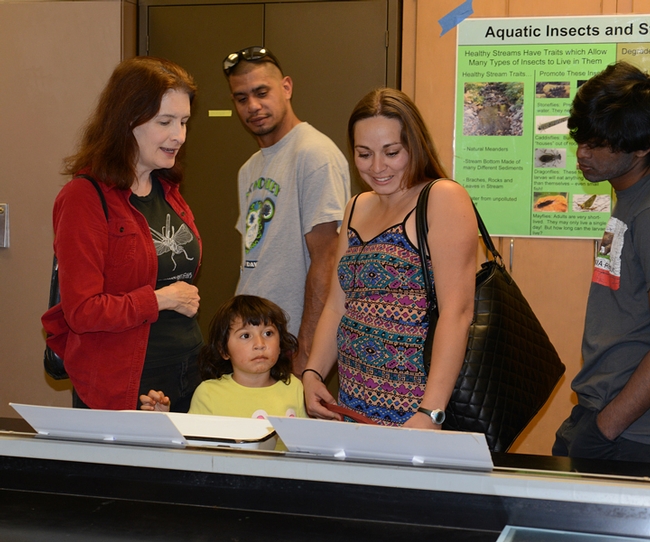 Professor Sharon Lawler of the UC Davis Department of Entomology and Nematology answers questions about aquatic insects.