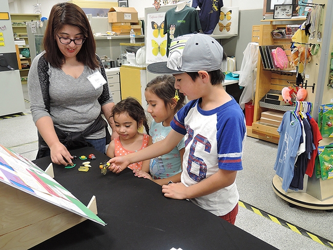 Erica Ramirez, a fourth-year UC Davis student majoring in history, helped out at the Bohart Museum open house. Here she explains insects to (from left) Fuerte siblings, Camilla, 4; Kailee, 6, and Joel, 8.