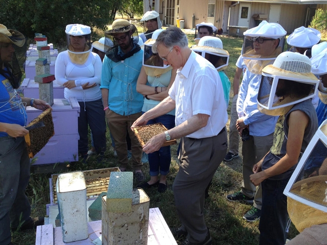 Extension apiculturist emeritus Eric Mussen opens a hive for Steve Nadler's parasitology lab class held May 16 at the Harry H. Laidlaw Jr. Honey Bee Research Facility. Mussen guest-lectured on varroa mites. (Photo by Steve Nadler)