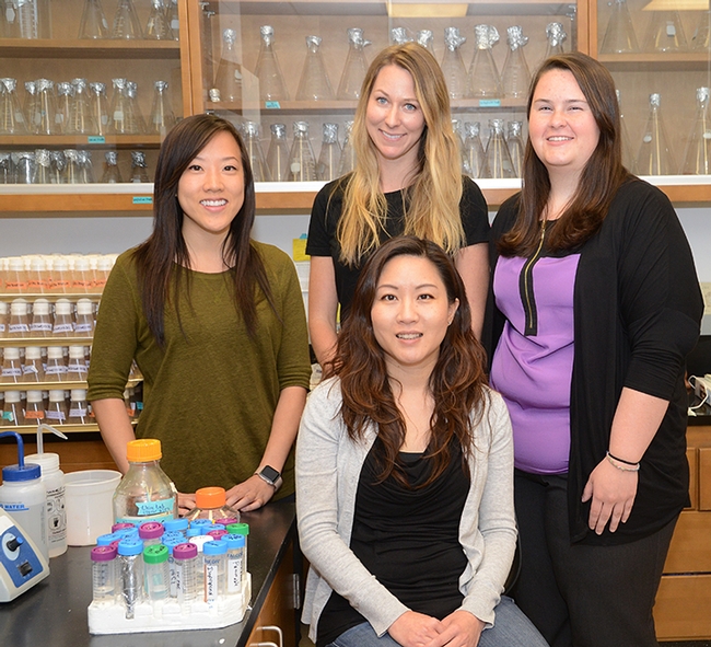Molecular geneticist and mentor Joanna Chiu (front), assistant professor in the UC Davis Department of Entomology and Nematology and a co-administrator of the UC Davis Research Scholars Program in Insect Biology, is circled by (from left) Rosanna Kwok, Katherine Murphy and Jessica West, three outstanding scientists. (Photo by Kathy Keatley Garvey)
