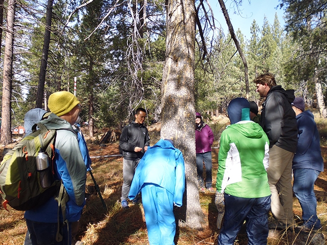 PhD student Jackson Audley (at right, wearing a black hoodie) gives an impromptu hands-on presentation about wood-boring beetles. (Photo by Sandy Olkowski)
