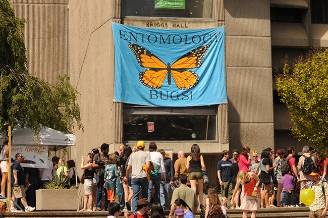 Front of Briggs Hall, home of the UC Davis Department of Entomology and Nematology, on UC Davis Picnic Day. (Photo by Kathy Keatley Garvey)