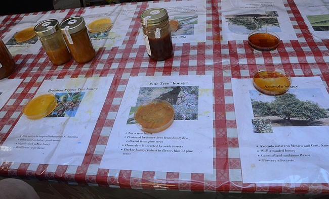 Honey--ready to be tasted! (Photo by Kathy Keatley Garvey)