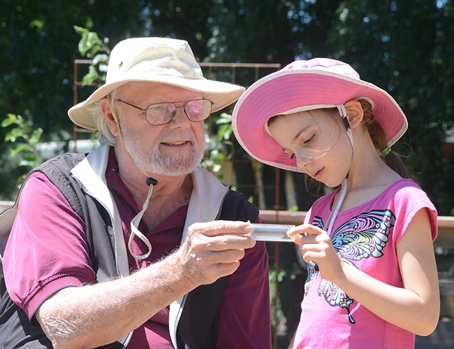Robbin Thorp, UC Davis distinguished emeritus professor of entomology, shows a bee to a visitor at the 2016 TODS Day at the Häagen-Dazs  Honey Bee Haven. This is Lalibella Eaves, then 6, daughter of Professor Valerie Fournier of Laval University, Quebec City. Her mother was a visiting scholar in the Neal Williams lab. (Photo by Kathy Keatley Garvey)