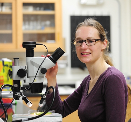 Innovative Research: How Elvira de Lange Is Targeting Spider Mites in ...