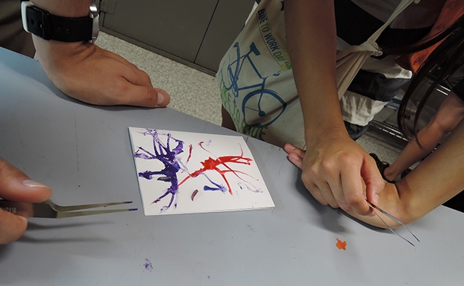 Forceps, a maggot, and non-toxic, water-based paint: ingredients for maggot art.