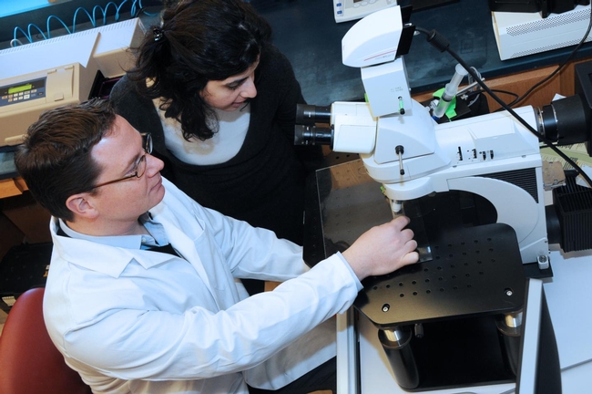 Study authors Kip Connor, Ph.D., and Lama Mulki, M.D., at the microscope in the Connor lab, Harvard Medical School. (Photo courtesy of Kip Connor)