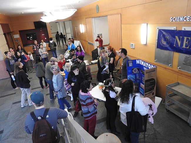 This was the scene at the 2017 Biodiversity Museum Day in the Sciences Laboratory Building, overlooking the nematode display. (Photo by Kathy Keatley Garvey)