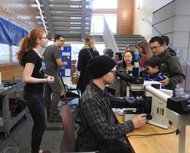 Graduate student and nematologist Corwin Parker looks through a microscope at the 2017 Biodiversity Museum Day activities at the Sciences Laboratory Building. Standing at far left: Laura Grimm, animal science biology major. (Photo by Kathy  Keatley Garvey)