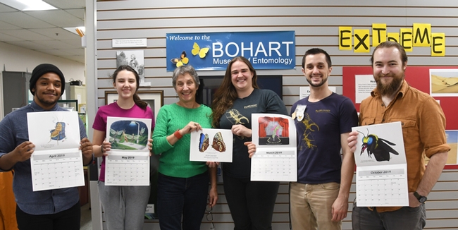 Bohart Museum associates and director Lynn Kimsey display the newly published insect/art calendars. From left are Abram Estrada, Sophia Lonchar, director Lynn Kimsey, Emma Cluff, Wade Spencer and Brennen Dyer. (Photo by Kathy Keatley Garvey)