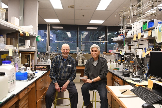 UC Davis distinguished professor Bruce Hammock (left) and chemist Sung Hee Hwang in the Hammock lab. (Photo by Kathy Keatley Garvey)