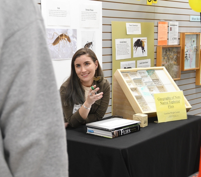 Graduate student Caroline Wright Larsen shares history of the invasion of the Mediterraean fruit fly. (Photo by Kathy Keatley Garvey)