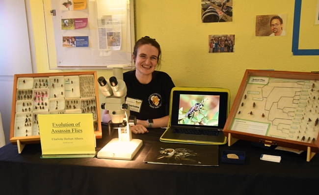 Charlotte Herbert Alberts, a fourth-year doctoral student in the Lynn Kimsey lab, with her display. (Photo by Kathy Keatley Garvey)