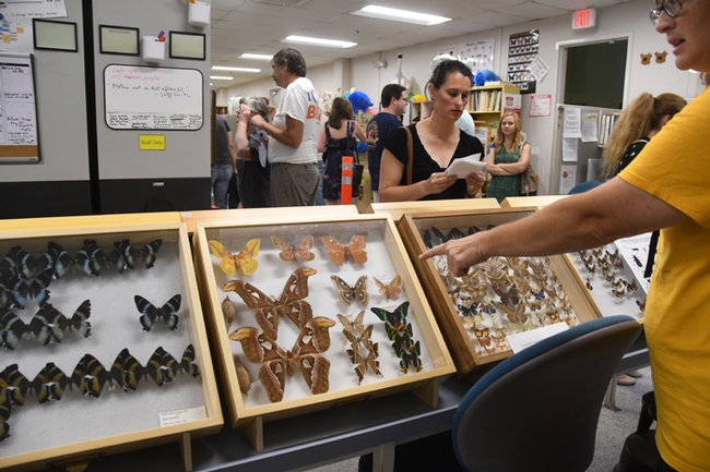 The Bohart Museum of Entomology is home to nearly eight million specimens in its worldwide collection. (Photo by Kathy Keatley Garvey)