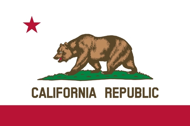 The California State Flag, known as the California Republic flag, features a grizzly bear. (Photo by Kathy Keatley Garvey)