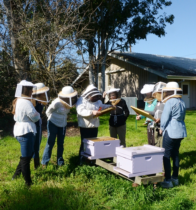 Extension apiculturist Elina Lastro Niño (center) leads a beekeeping class at the Laidlaw facility. (Photo by Kathy Keatley Garvey)